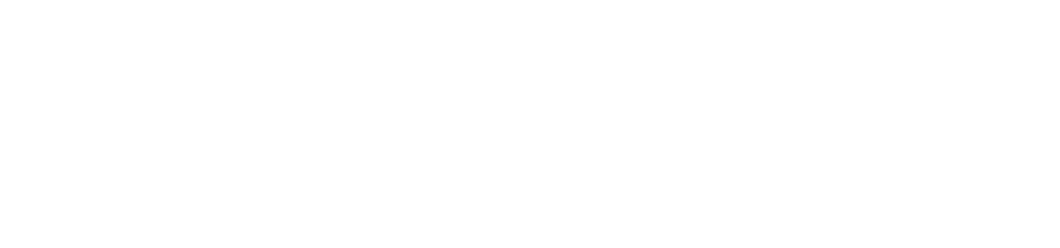 sigzi-vox-img04