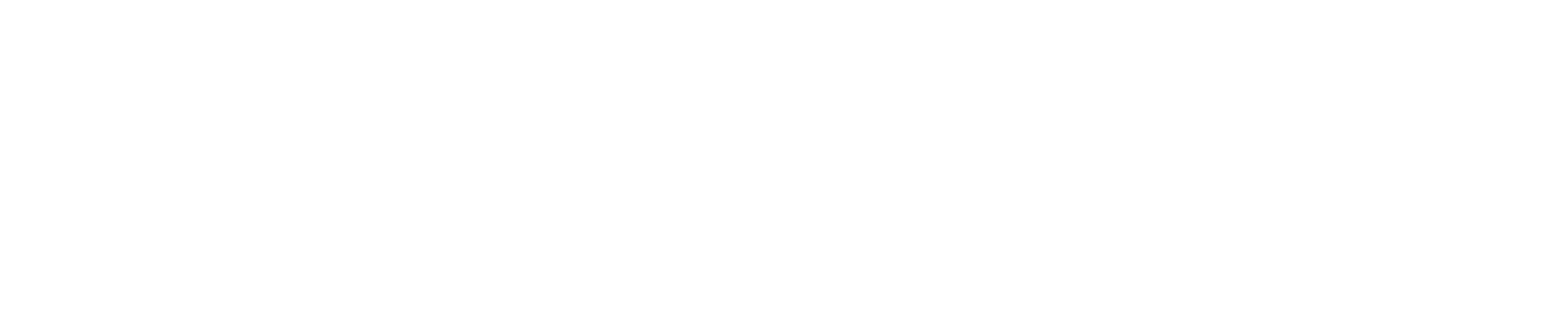 synap-hez-img-02