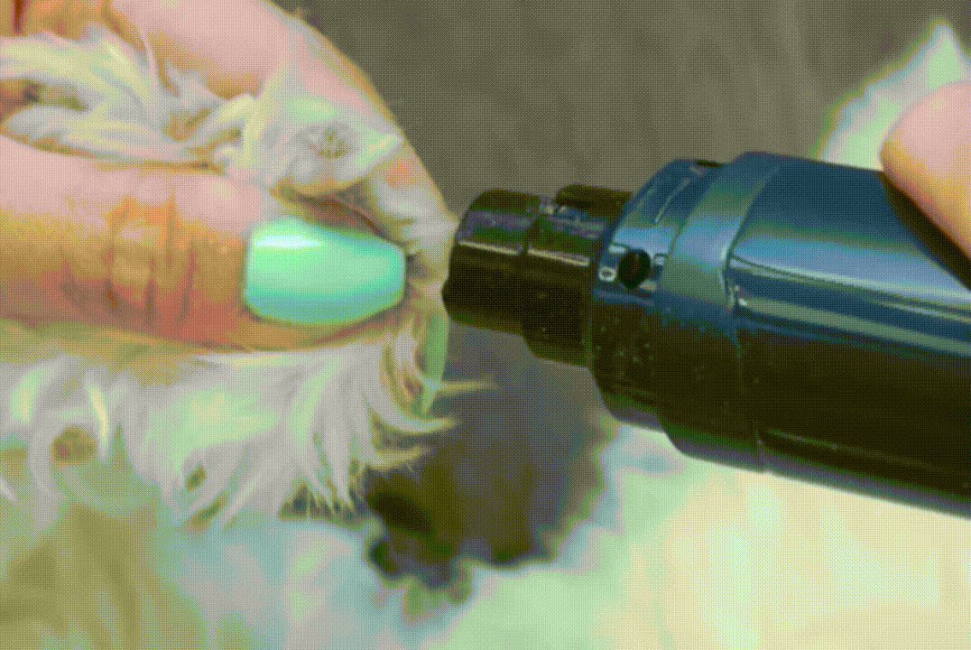 puppi-claw-2-0-img-40