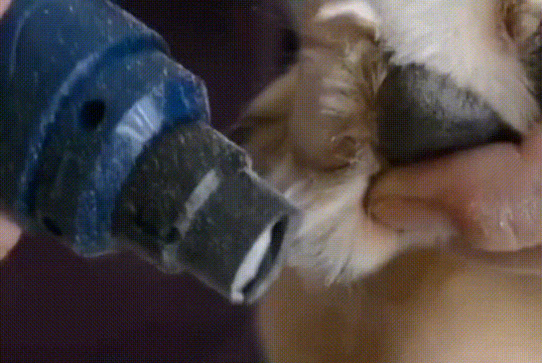 puppi-claw-2-0-img-41