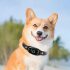 sunu-bark-img-13